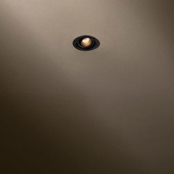TAL MICRO ECLIPS LEAF recessed spot