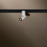 Tal Lighting MICROSCOOP TRACK 48V SINGLE Schienenleuchte