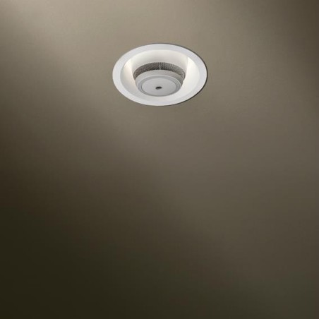 TAL ORBITAL LEAF SMOKE recessed spot