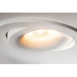 TAL SIMPLON BEAUFORT LEAF ceiling lamp