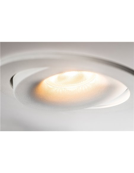 TAL SIMPLON BEAUFORT LEAF ceiling lamp