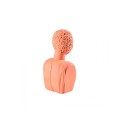 Seletti Magna Graecia Terracotta Bust Man home accessory