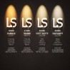 LICHTKLEUR