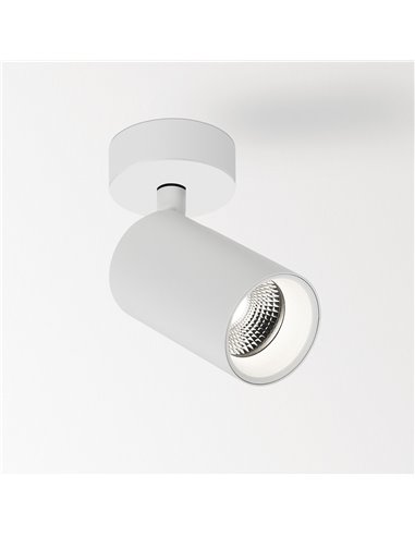 Delta Light SPYCO ON AC Ceiling lamp