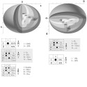 Integratech Disc Ceiling light