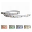 Integratech Ledstrip 60LED/m 5050 24V IP67 RGB+W 5m