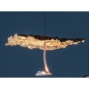 Catellani & Smith Gold Moon Ic