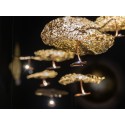 Catellani & Smith Gold Moon Ic