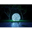 Catellani & Smith Fil De Fer 100Cm F Outdoor