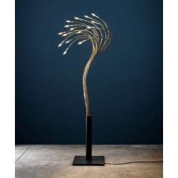 Catellani & Smith Sottovento 15