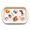 SELETTI TOILETPAPER Teller 56 x 29 cm Emaille