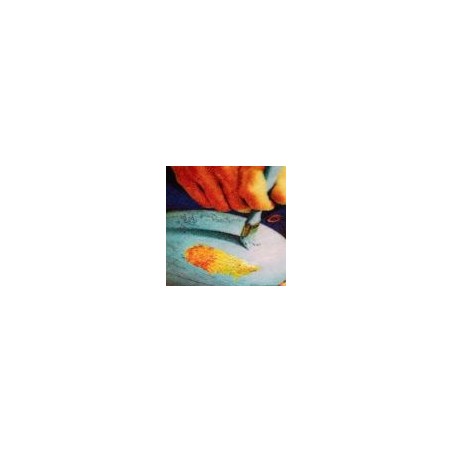 SELETTI TOILETPAPER Bath mats 60 x 90 cm - Globe
