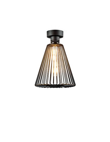 Wever & Ducré Wiro 1.0 Cone Ceiling Surf E27 ceiling lamp