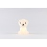 MRMARIA_SNUFFIE_BUNDLE_OF_LIGHT_LIGHTANDSHADE_4