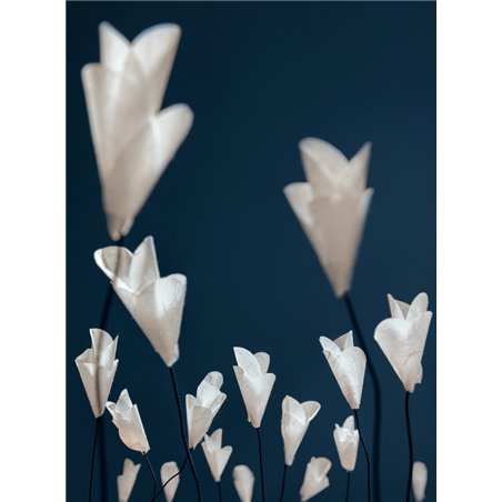 Catellani & Smith For You Table lamp