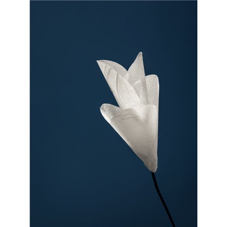 Catellani & Smith For You Table lamp