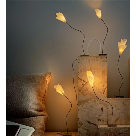 Catellani & Smith For You Table lamp