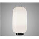 Foscarini Chouchin Reverse 2 Led suspension lamp