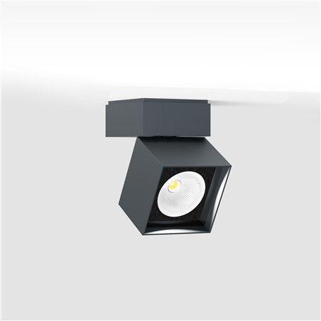 IP44 Pro S Ceiling Light