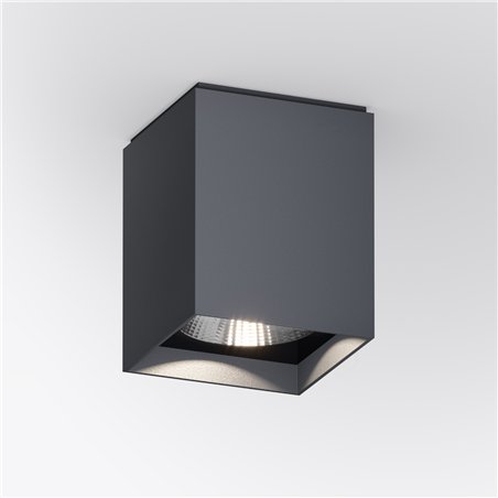 IP44 Up S Ceiling Light