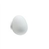 Foscarini Gregg Midi Wall/Ceiling Decken- / Wandlampe