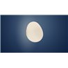 Foscarini Gregg Midi Outdoor Wall/Ceiling Decken- / Wandlampe