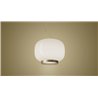 Foscarini Chouchin 1 Reverse Susp. 10M Hängelampe