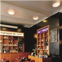 Louis Poulsen Aj Eklipta 450 E27 Ceiling Lamp / Wall Lamp