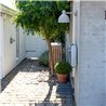 Louis Poulsen Toldbod 220 Wall Deckenleuchte / Wandleuchte