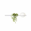 Vibia Palma Horizontal 2X 85 wall lamp