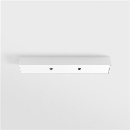 Modular Ceiling base 320x58 for 2x jack