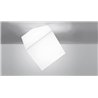 Artemide Edge 30 Wall lamp / ceiling lamp