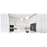 Artemide Gople suspended lamp