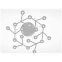 Artemide Led Net Circle ceiling lamp