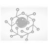 Artemide Led Net Circle ceiling lamp