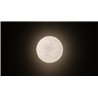 Artemide Meteorite 48 ceiling lamp