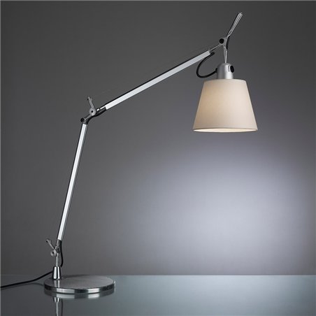 Artemide Tolomeo body with diffuser