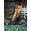Nordlux Taurus [IP54] garden lamp
