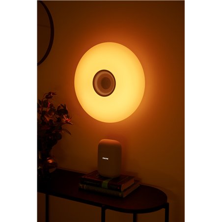 Nordlux DJAY Smart 40 [IP54] RGB ceiling lamp