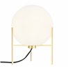 Nordlux Alton 20 Tischlampe