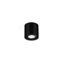 Wever & Ducré RAY MINI 1.0 PAR16 Ceiling lamp