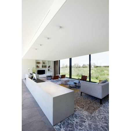 Wever & Ducré RAY MINI 1.0 PAR16 Ceiling lamp