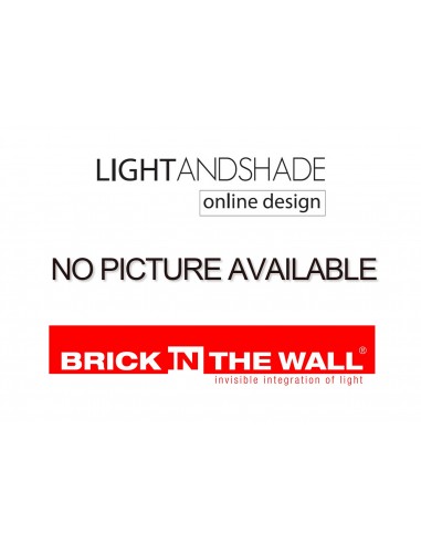 BRICK IN THE WALL Pixo 50 W Optional Installation kit for 30mm ceiling
