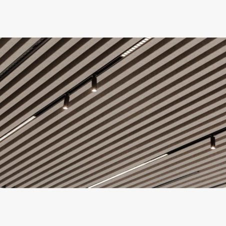 Delta Light M - Inform L867 MDL ceiling lamp