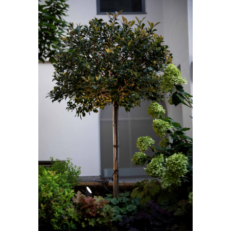 Wever & Ducré Stipo 3.0 Floor lamp