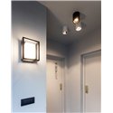 Delta Light BOXY R OK DIM8 Ceiling lamp