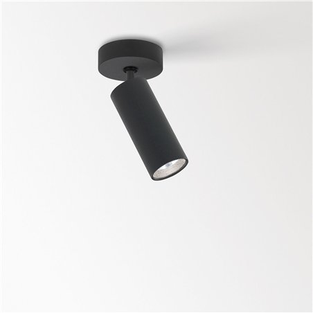 Delta Light SPY 39 ON Ceiling lamp