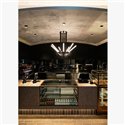 Delta Light XY180 S121 Ceiling lamp