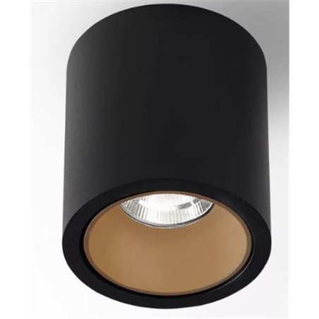 Delta Light R HE Ceiling lamp