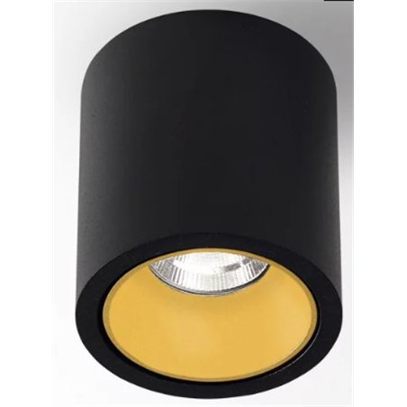Delta Light R HE Ceiling lamp